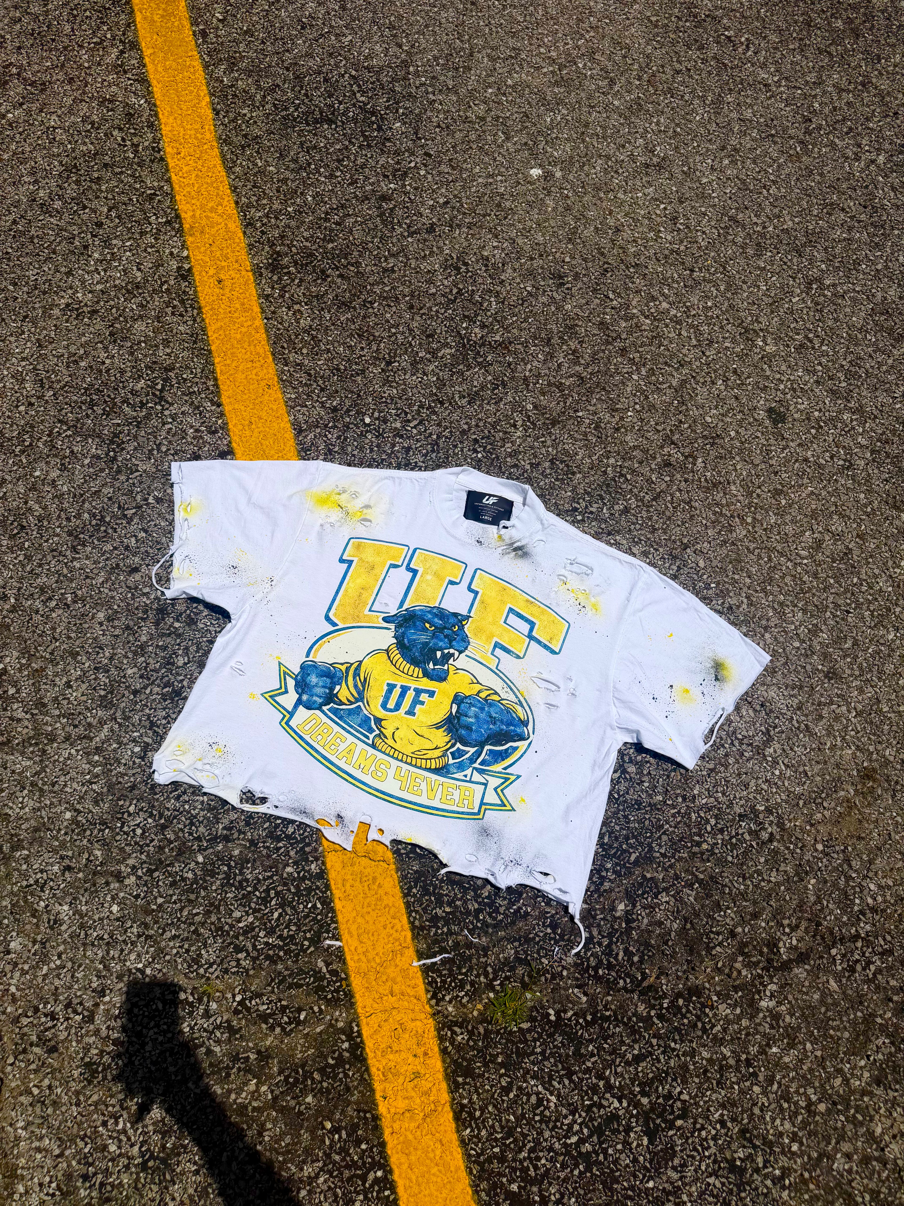 Dream 4ever Varsity Tee