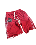 UF Varsity Shorts